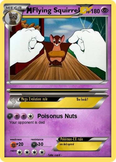 Pokemon Flying Squirrel