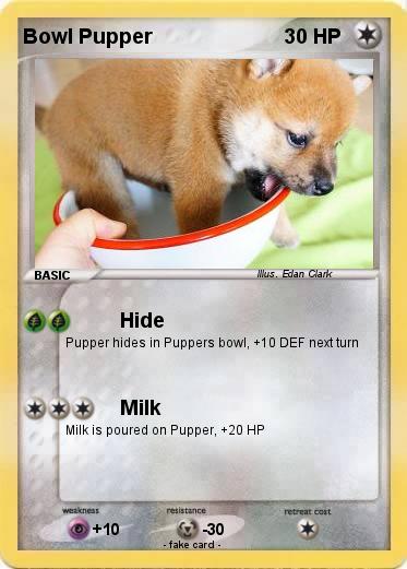 Pokemon Bowl Pupper