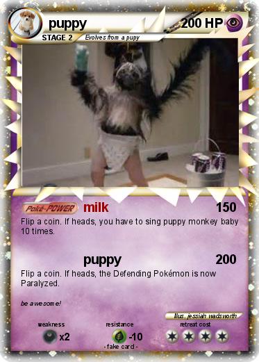 Pokemon puppy