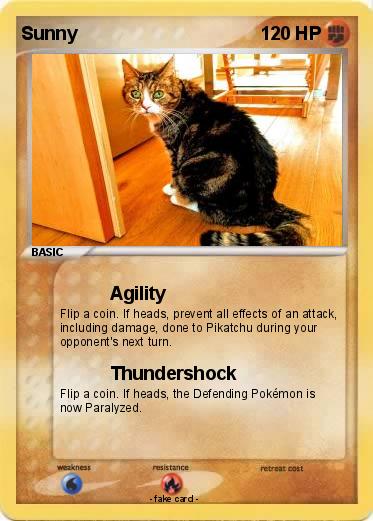 Pokemon Sunny