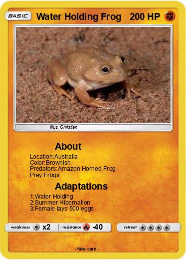 Pokemon Water Holding Frog