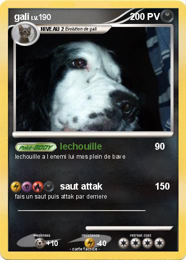 Pokemon gali
