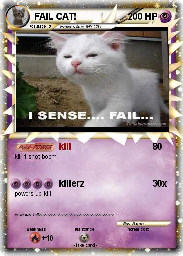 Pokemon FAIL CAT!