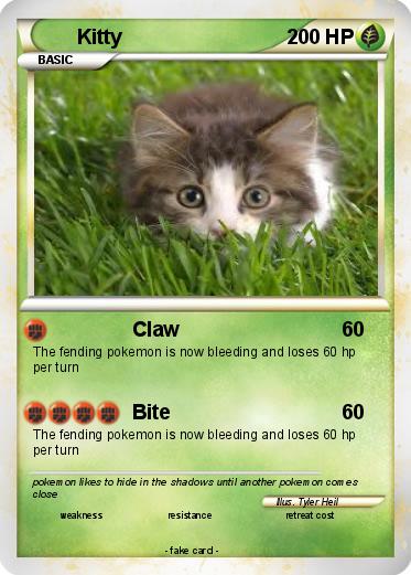 Pokemon Kitty