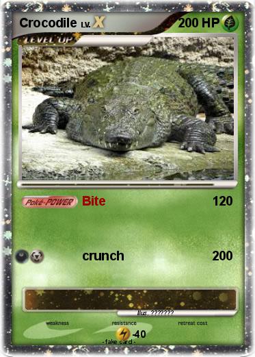Pokemon Crocodile