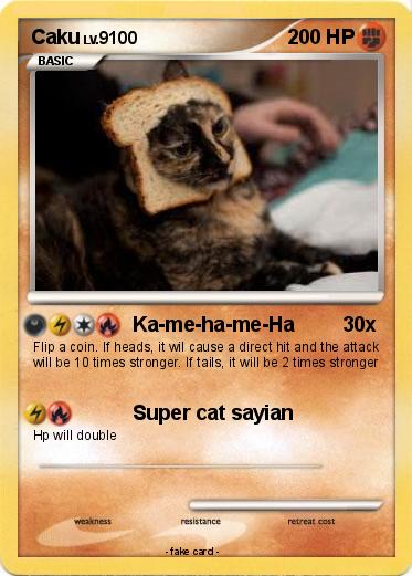 Pokemon Caku