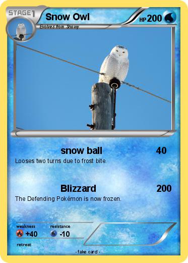 Pokemon Snow Owl
