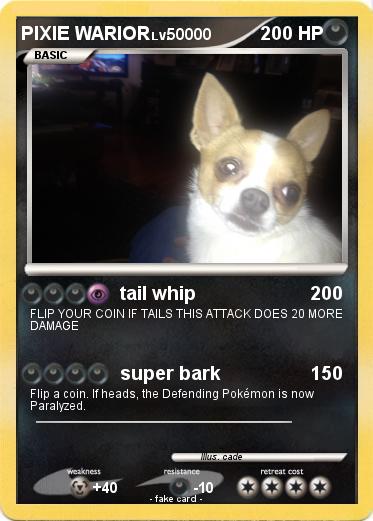 Pokemon PIXIE WARIOR