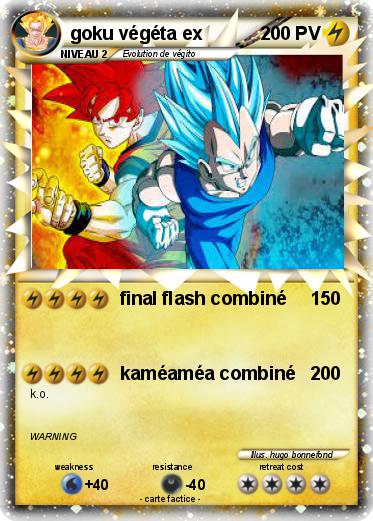 Pokemon goku végéta ex