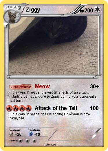 Pokemon Ziggy