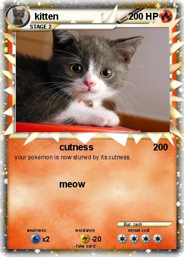Pokemon kitten