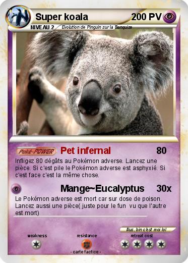 Pokemon Super koala