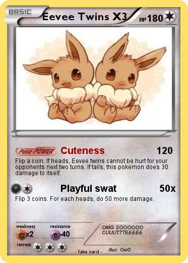 Pokemon Eevee Twins X3