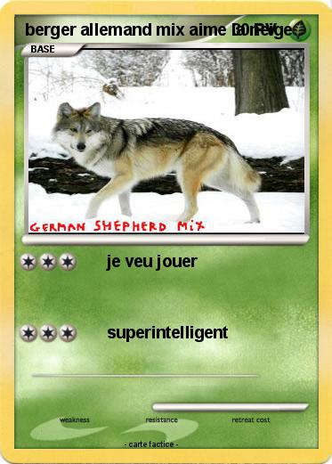 Pokemon berger allemand mix aime la neige