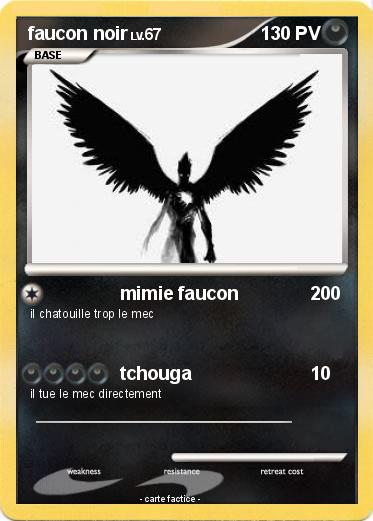 Pokemon faucon noir