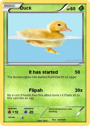 Pokemon Duck