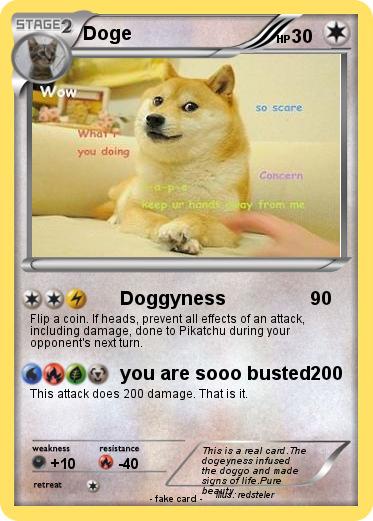 Pokemon Doge