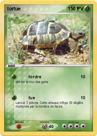 Pokemon tortue