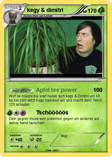 Pokemon kegy & dimitri