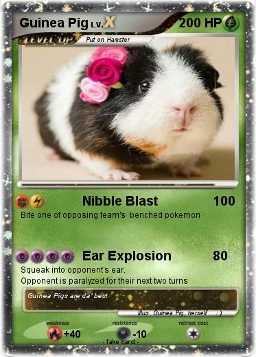 Pokemon Guinea Pig