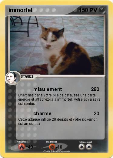 Pokemon immortel