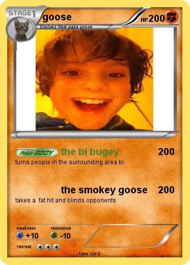 Pokemon goose