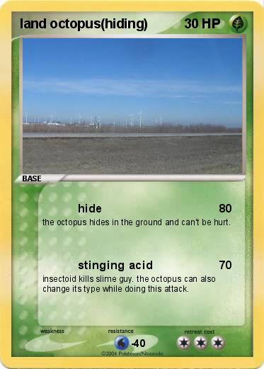 Pokemon land octopus(hiding)