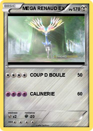 Pokemon MEGA RENAUD EX