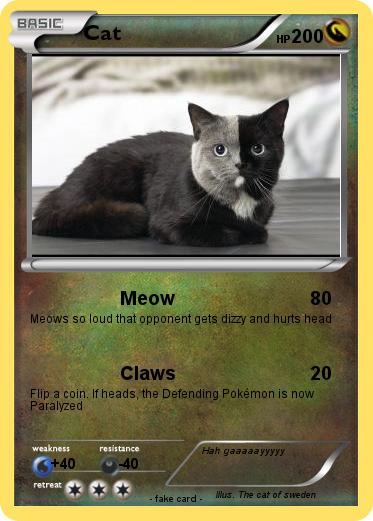 Pokemon Cat