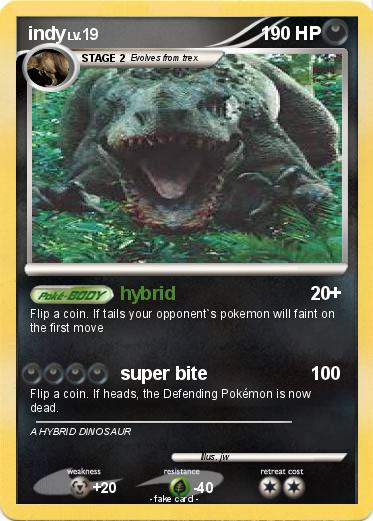 Pokemon indy
