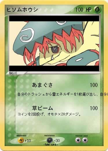 Pokemon ヒソムホウシ