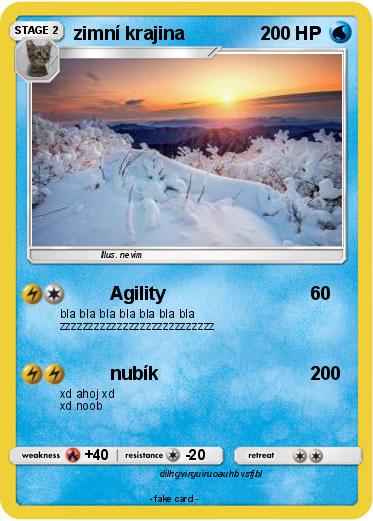 Pokemon zimní krajina
