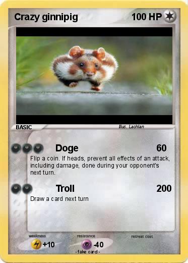 Pokemon Crazy ginnipig