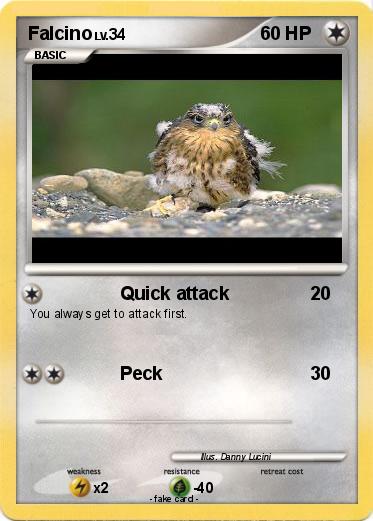 Pokemon Falcino