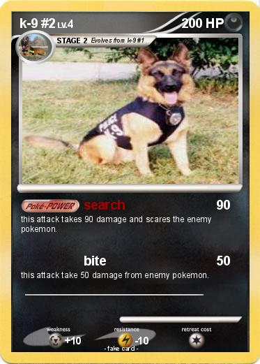Pokemon k-9 #2