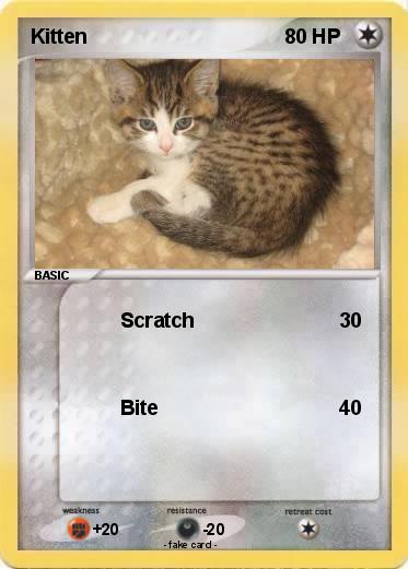 Pokemon Kitten
