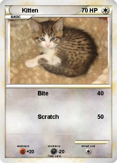 Pokemon Kitten