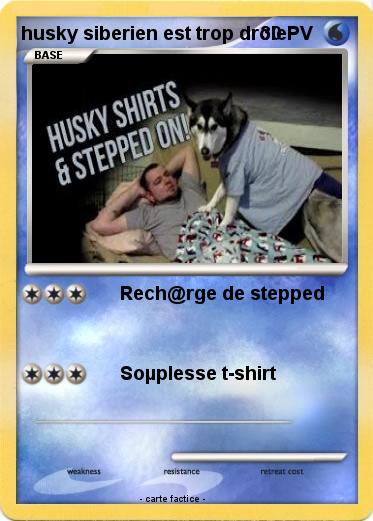 Pokemon husky siberien est trop drôle