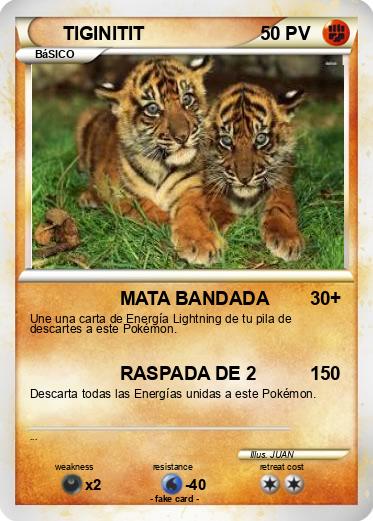 Pokemon TIGINITIT