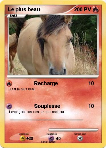 Pokemon Le plus beau