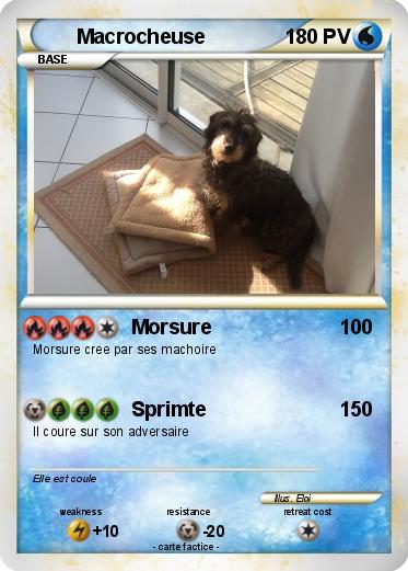 Pokemon Macrocheuse