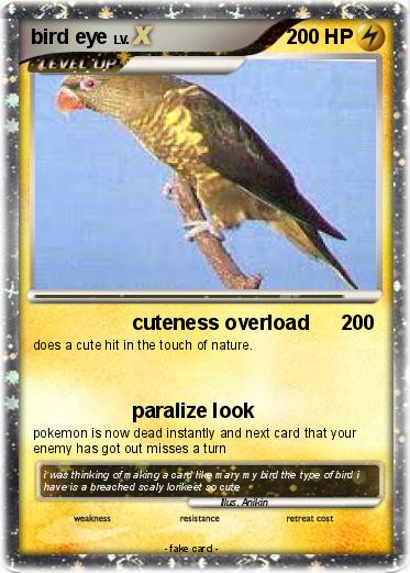 Pokemon bird eye