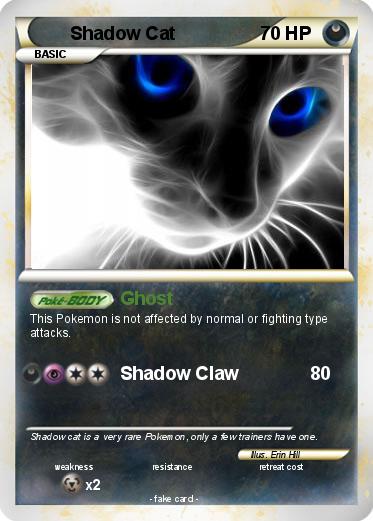 Pokemon Shadow Cat