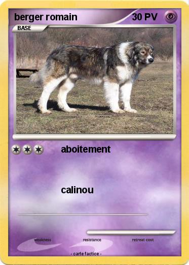 Pokemon berger romain