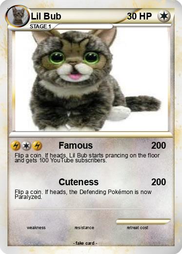 Pokemon Lil Bub