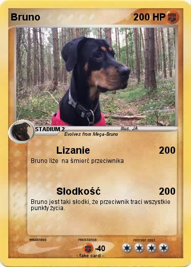 Pokemon Bruno
