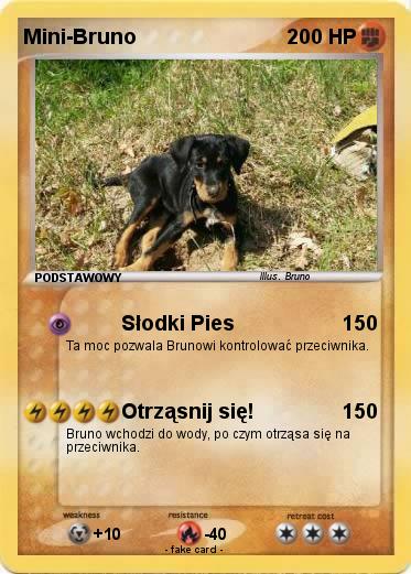 Pokemon Mini-Bruno