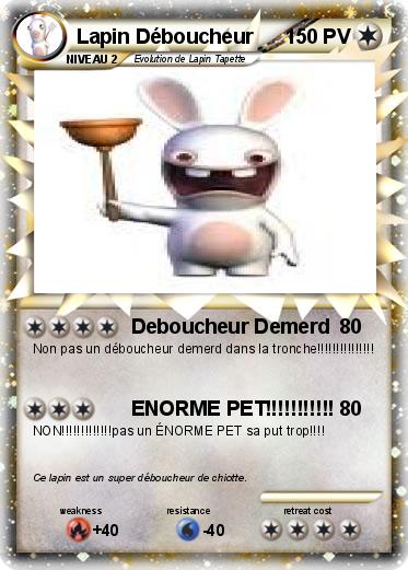 Pokemon Lapin Déboucheur