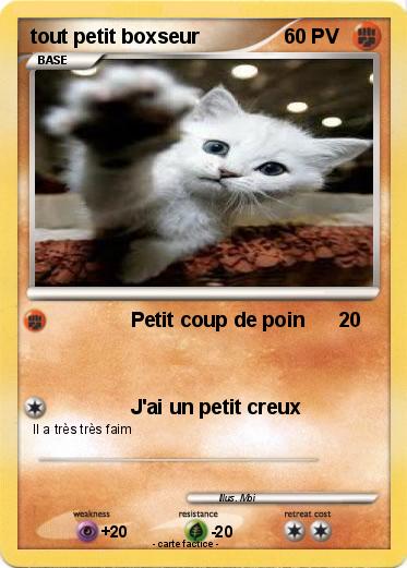 Pokemon tout petit boxseur