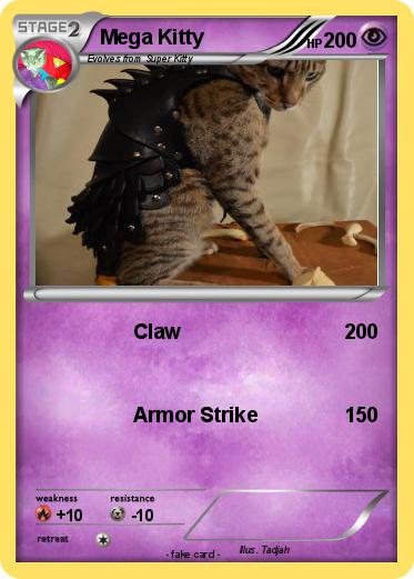 Pokemon Mega Kitty